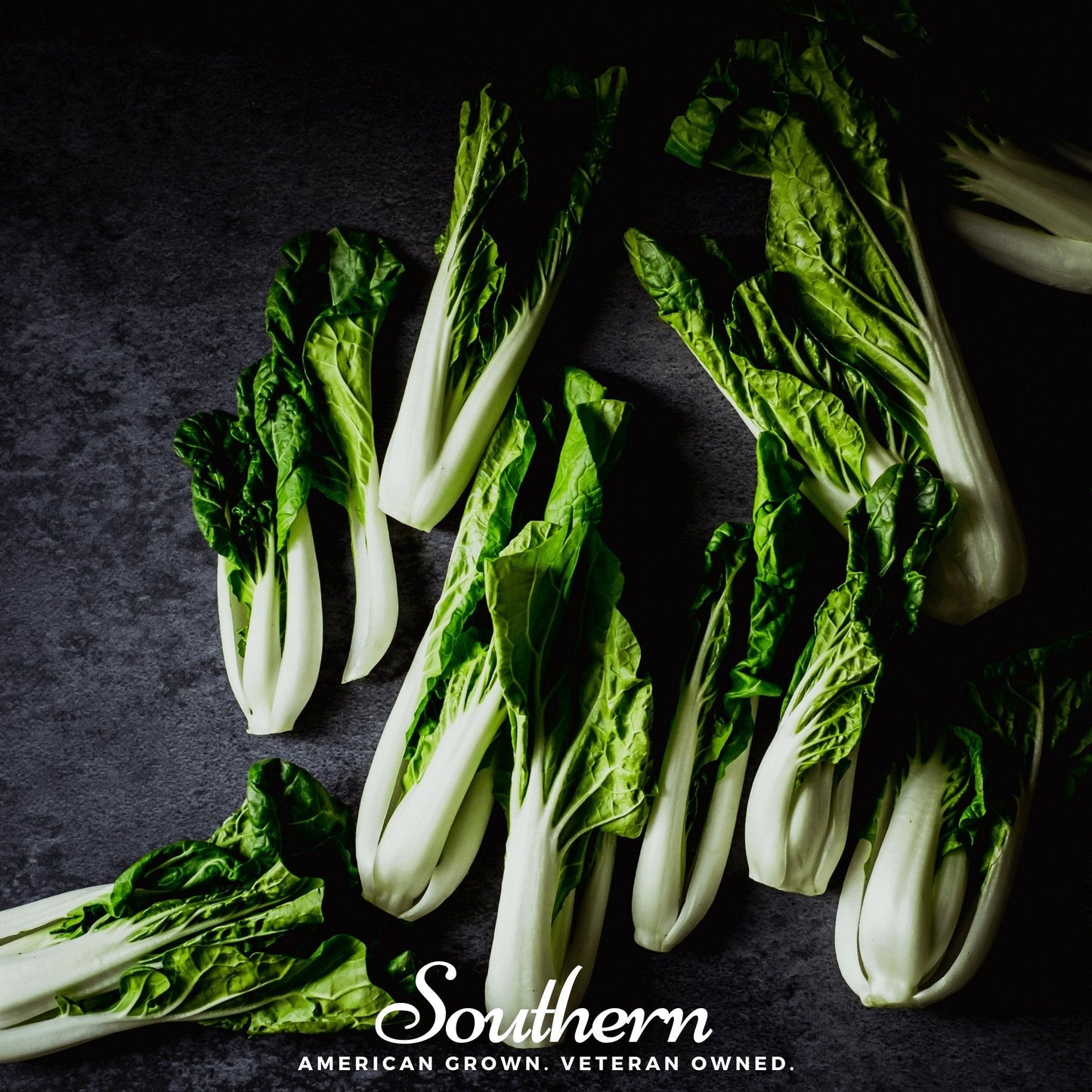 Canton Pak Choi – 200 Seeds