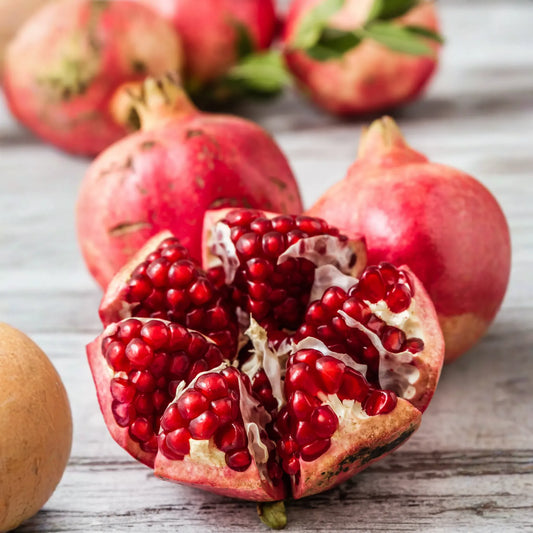 Pomegranate 'Parfianka' (Punica granatum)