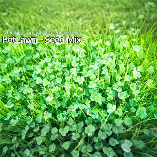 PetLawn™ Dog-Friendly Lawn Mix – Durable, Pet-Safe Grass & Clover Blend