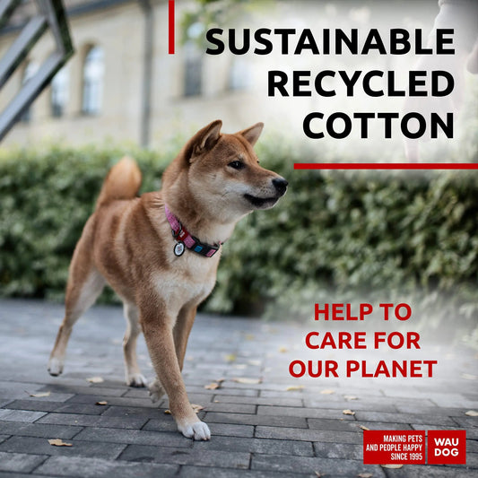 Reflective Cotton Dog Collar Eco Friendly Alt to Nylon Collar 10 16 in Neck x