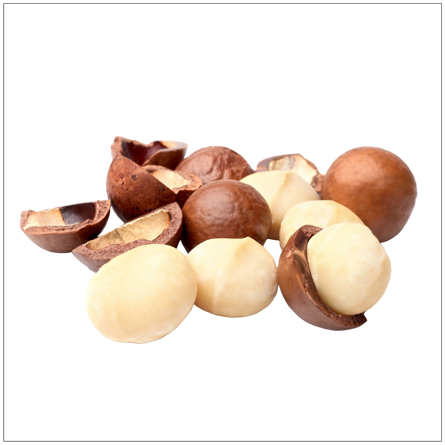 Raw Macadamia Nuts