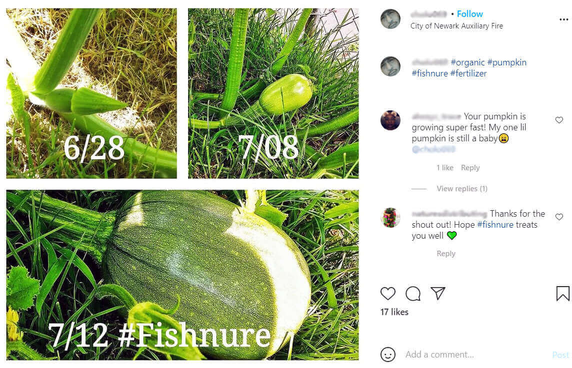 Fishnure 1 pound convenience pack - one pot one bag - Odorless Organic Humus Compost Fish Manure Fertilizer