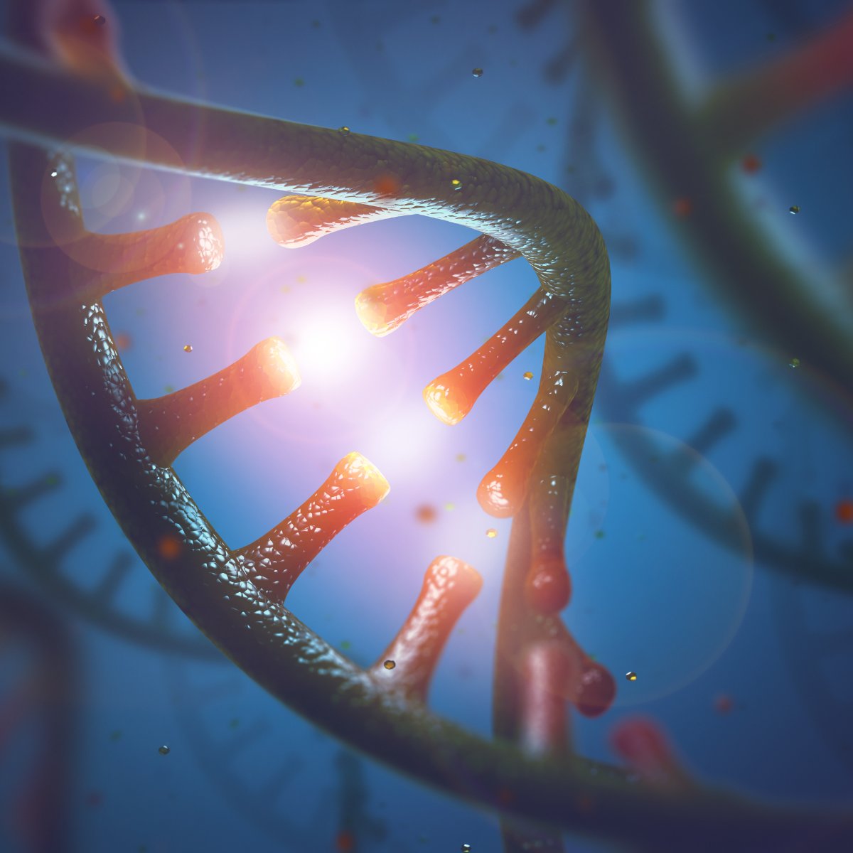 RNA/DNA Complex Liquid