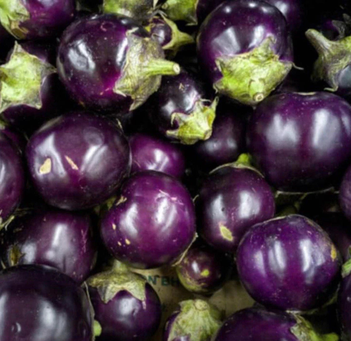 50+ Round Purple Eggplant Seeds - Thai/Indian Heirloom Seeds - Solanum melongena - Buy 2 Get 2 Free