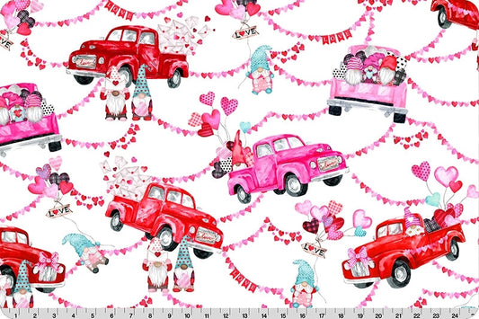 MINKY My Gnomie Pink 60 x 36 Valentine Digital Shannon Fabrics 100% Polyester - Seasonal Fabrics - Little Red General Store