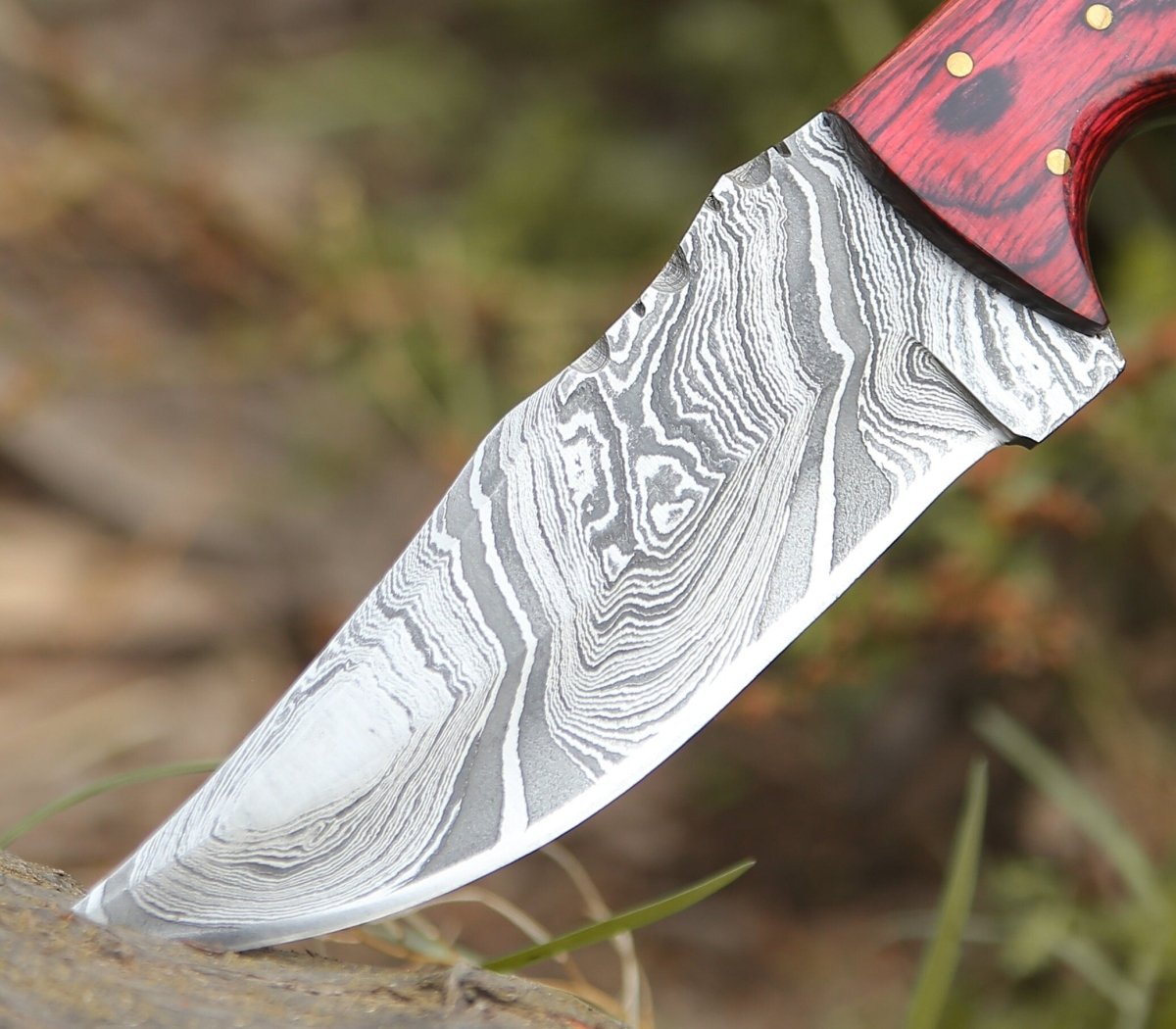 Sting Damascus Hunting Knife with Rosewood Handle