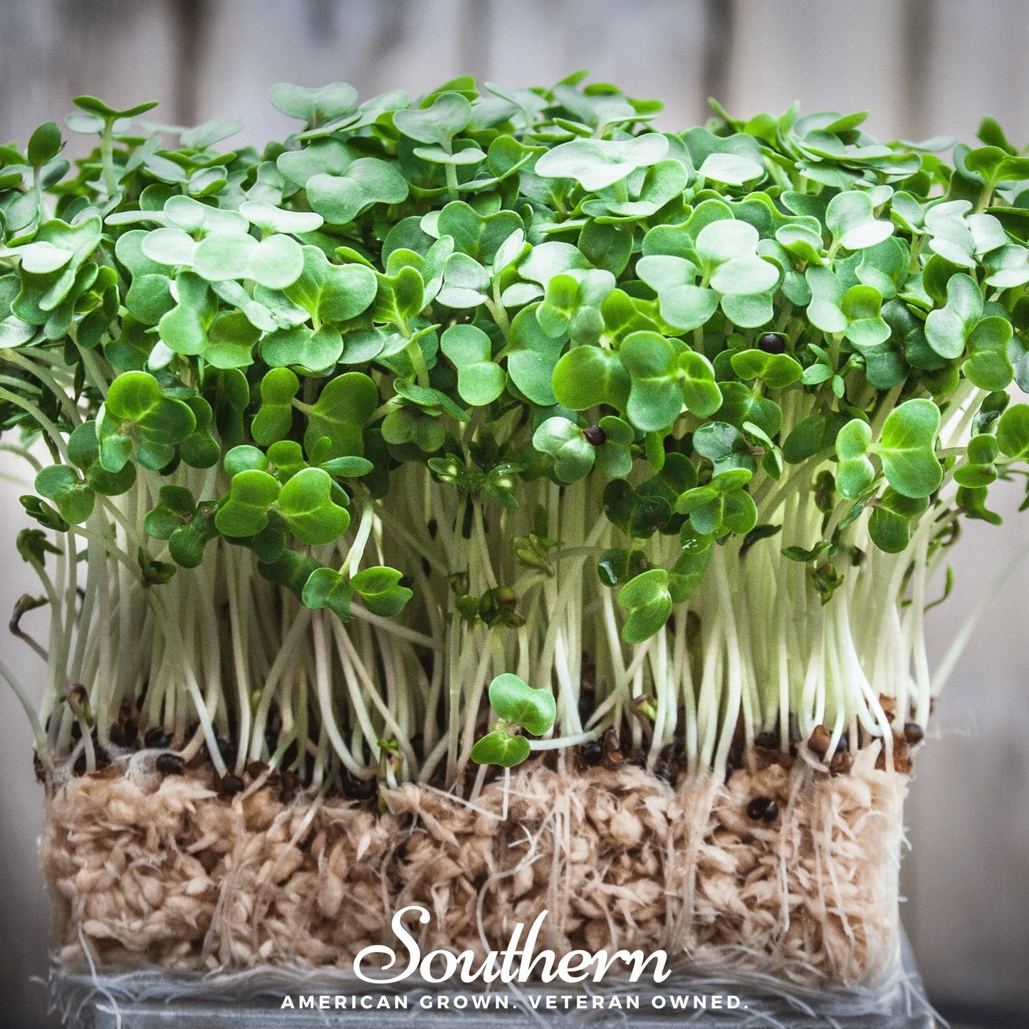 Watercress – 200 Seeds