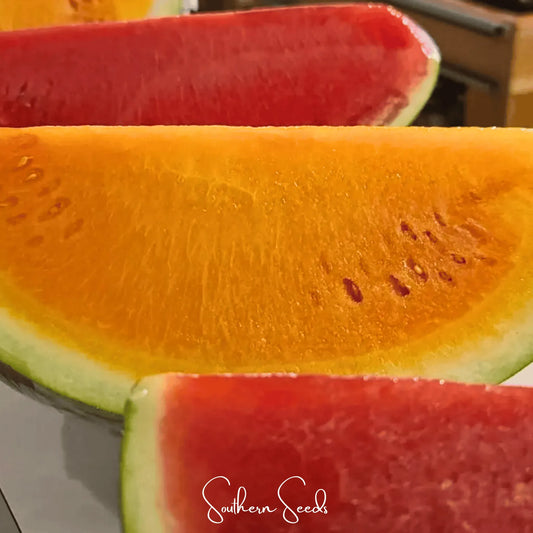 Tendersweet Orange Watermelon – 25 Seeds