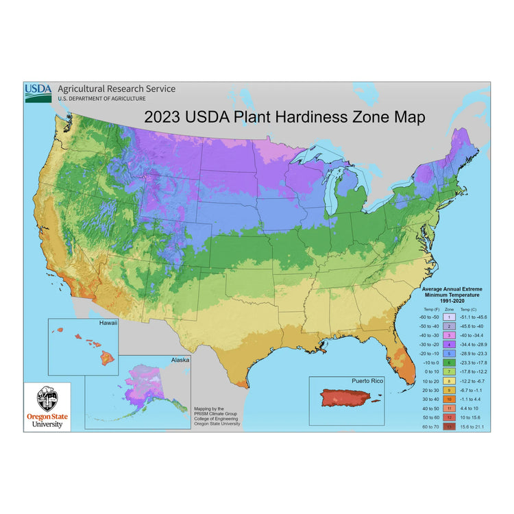 Plants + Seeds » USDA Zone 6
