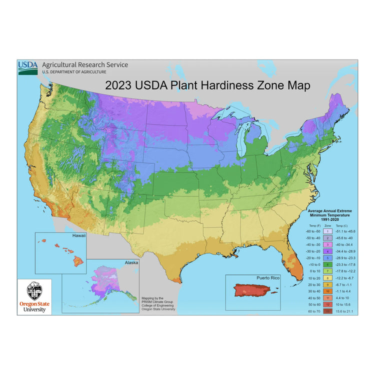 Plants + Seeds » USDA Zone 2 - Little Red General Store