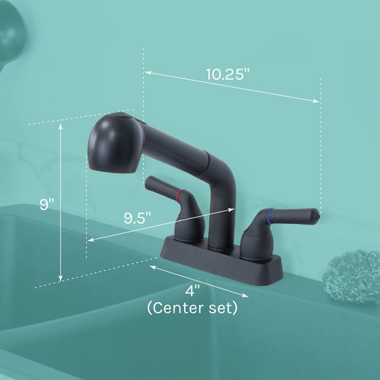 Tehila Black Finish Pull-Out Faucet
