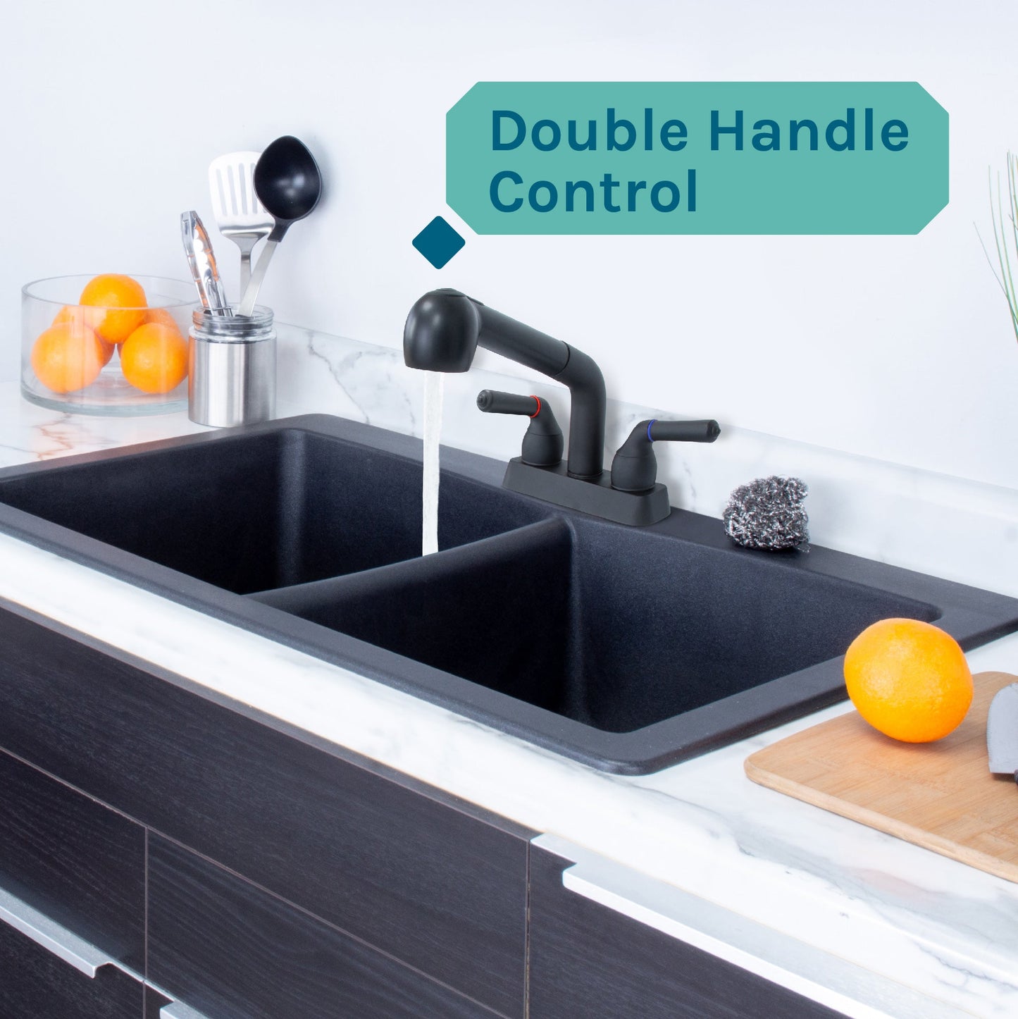 Tehila Black Finish Pull-Out Faucet