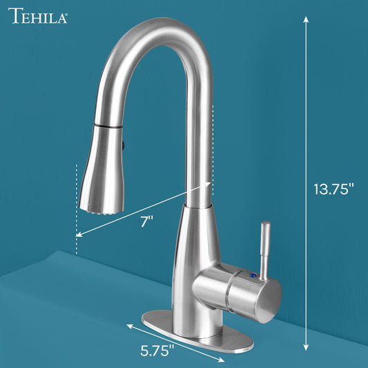 Tehila Stainless Steel Finish Low Profile Pull-Down Faucet