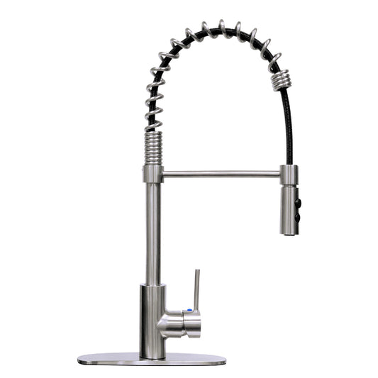 Tehila Stainless Steel Finish High Arc Coil Pull-Down Faucet