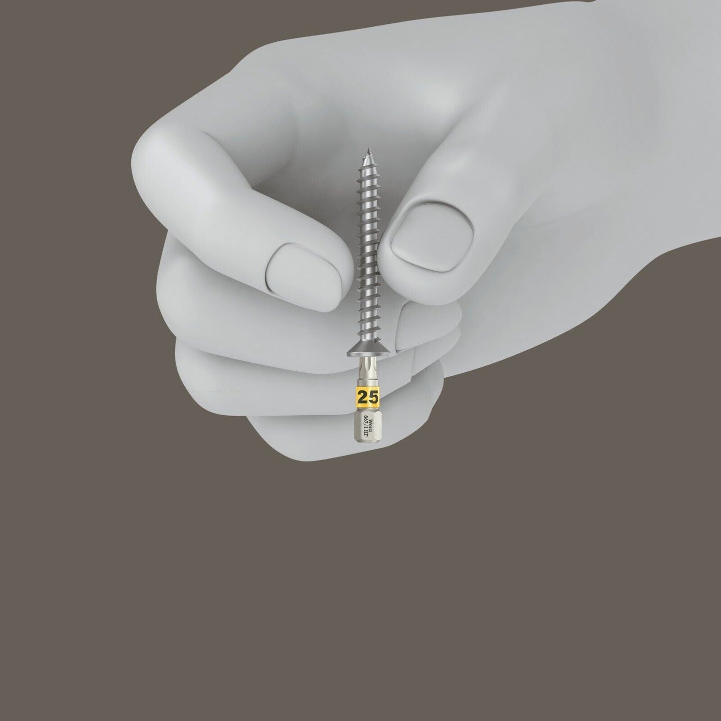 Wera Bit-Box 20 TORX® HF Bits HF TX 20 x 25mm 20 Pieces 05057777001