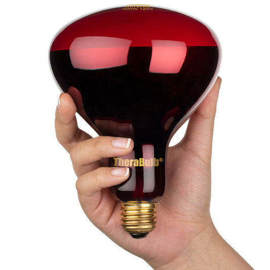 Near Infrared Bulb - 300 Watt (120V for North America)