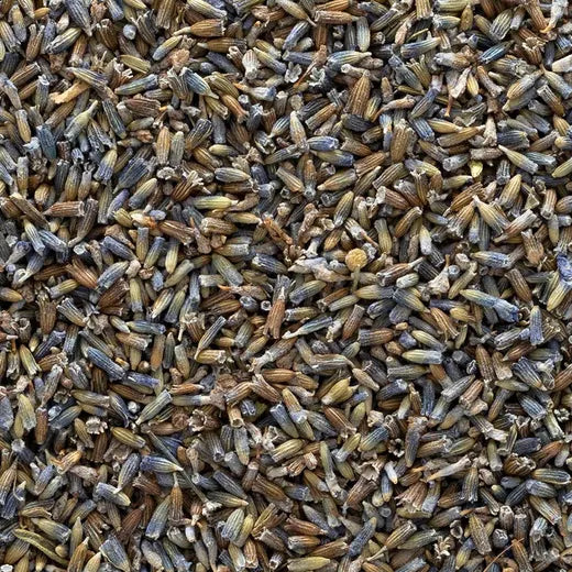 Lavender, Whole Dried Flowers (herbs by weight)