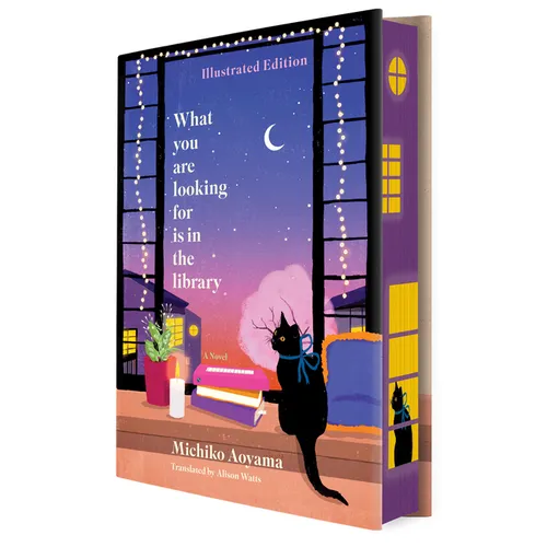 What You Are Looking for Is in the Library Illustrated Edition