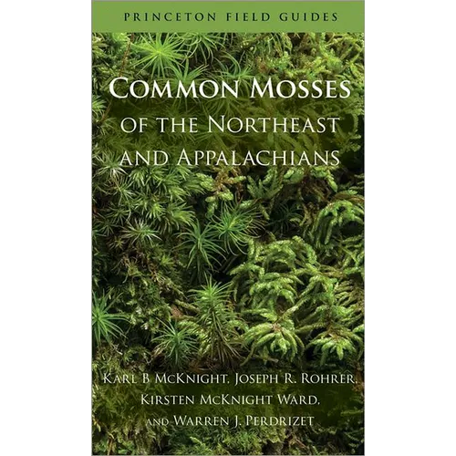 Common Mosses of the Northeast and Appalachians