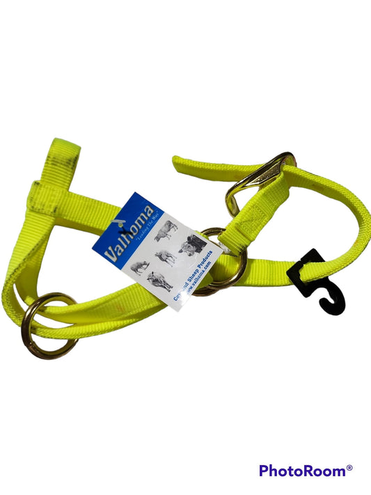 Valhoma: Halter - Goat Nanny - Hot Yellow