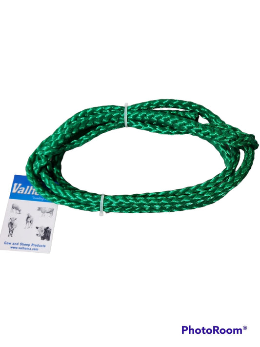 HALTER - SHEEP HOLDING - GREEN
