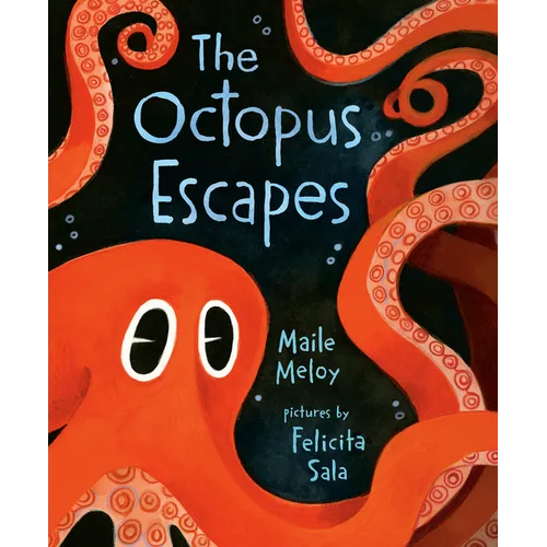 The Octopus Escapes