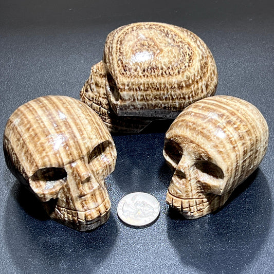 Brown Striped Aragonite Skull Carving Wholesale