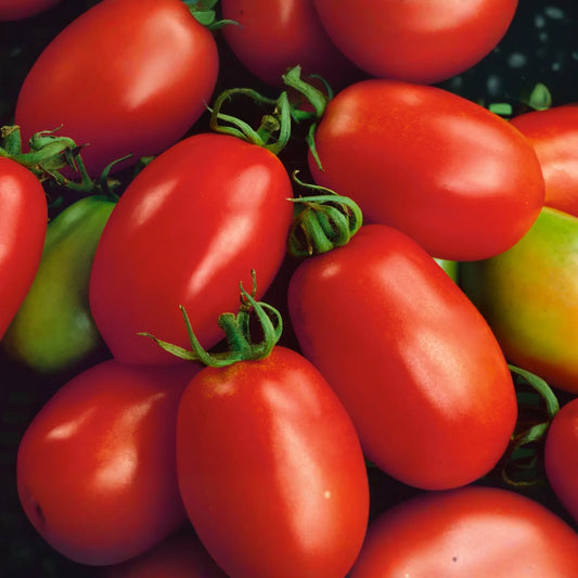 Beefsteak Heirloom Tomato Seeds | 100+ Non-GMO Vegetable Seeds | Organic Gardening | Solanum lycopersicum