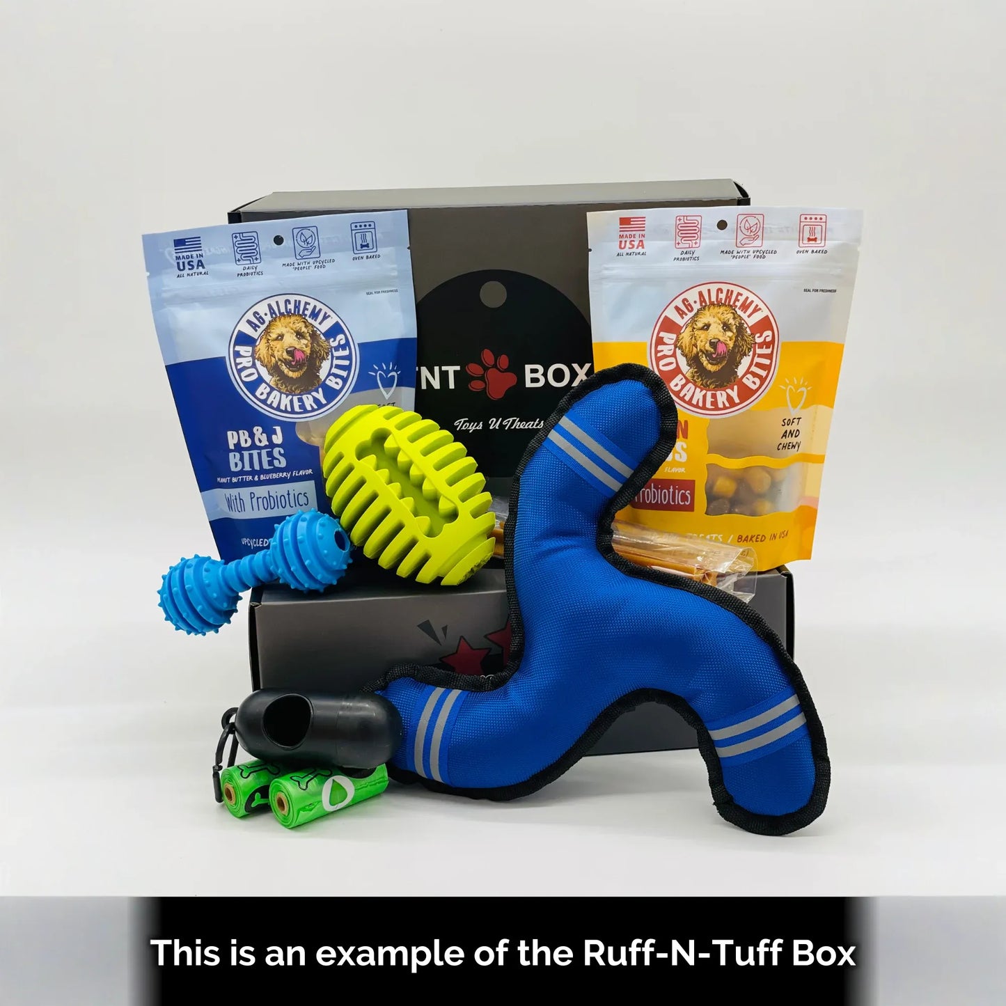 Toys N Treats Gift Boxes