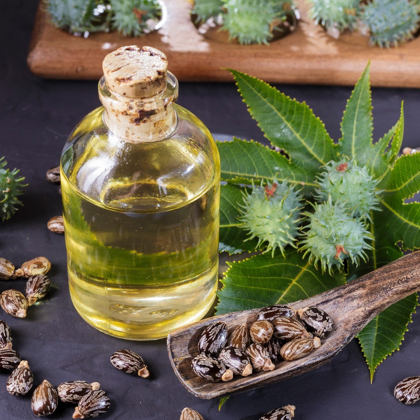 Castor Oil - Organic