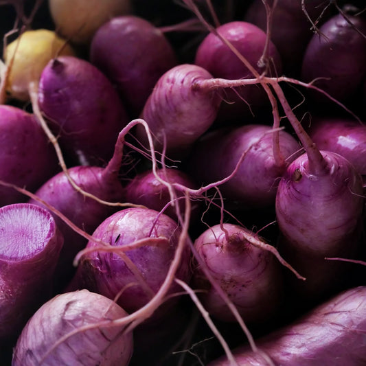 Purple Plum Radish Seeds - 300+ Non-GMO Heirloom Garden Seeds - Fresh Vegetable Seeds for Home Gardening