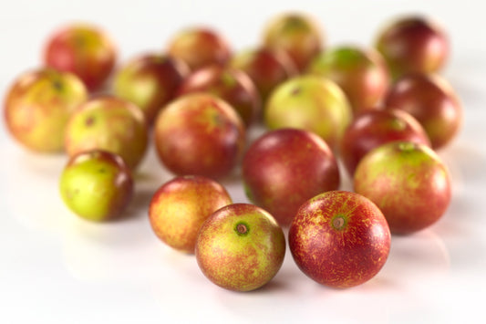 Camu Camu Botanical Extract Powder