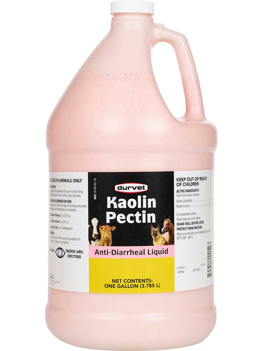 KAOLIN PECTIN ANTI-DIARRHEAL LIQUID 1GAL