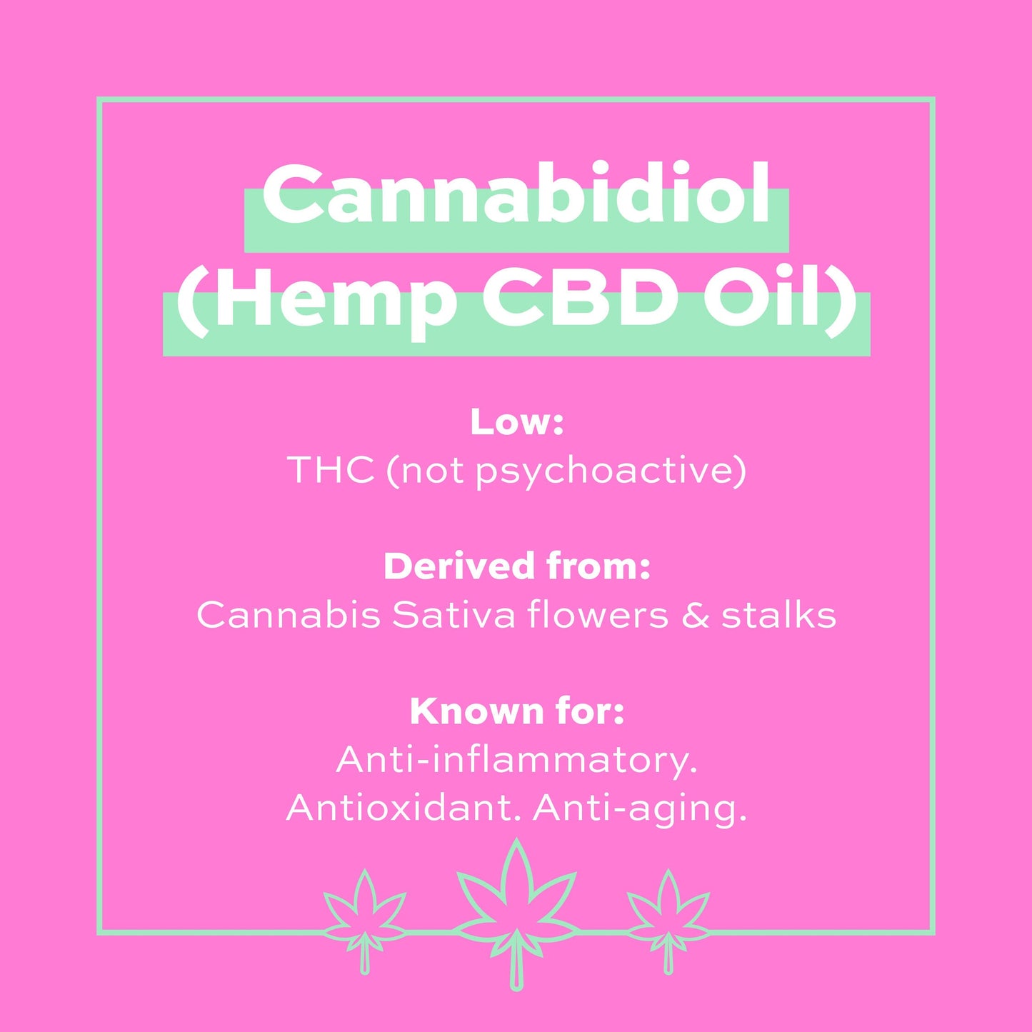 REVOLUTION CBD Rich Nourishing Cream