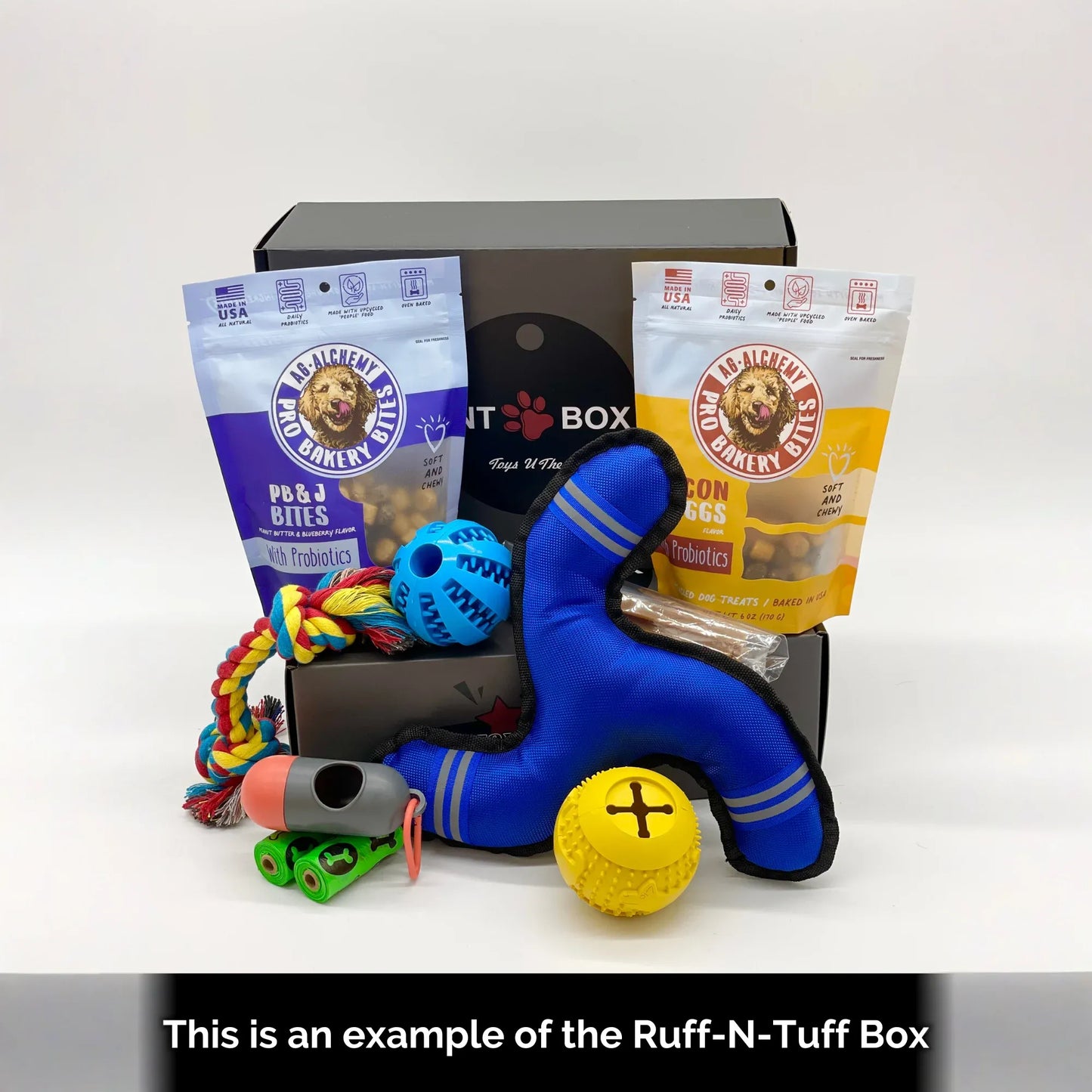 Toys N Treats Gift Boxes