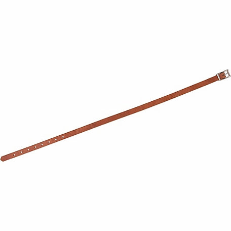 Harness Leather Replacement Uptug, 3/4 in. x 33 in.