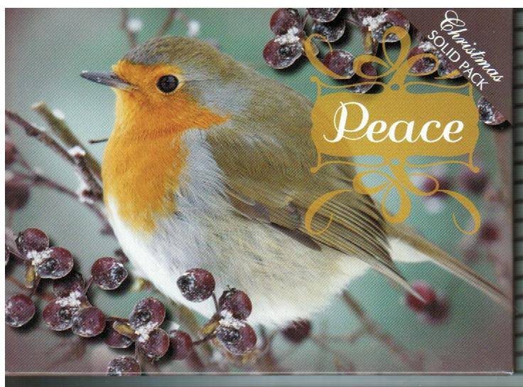 H12052 CHRISTMAS FEATHERED FRIENDS - KJV