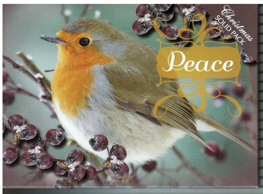 H12052 CHRISTMAS FEATHERED FRIENDS - KJV