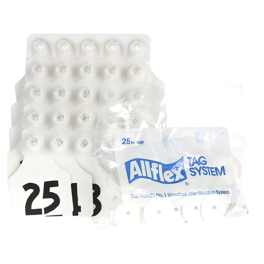 ALLFLEX: LARGE - FEM/SM - WHITE - 26-50