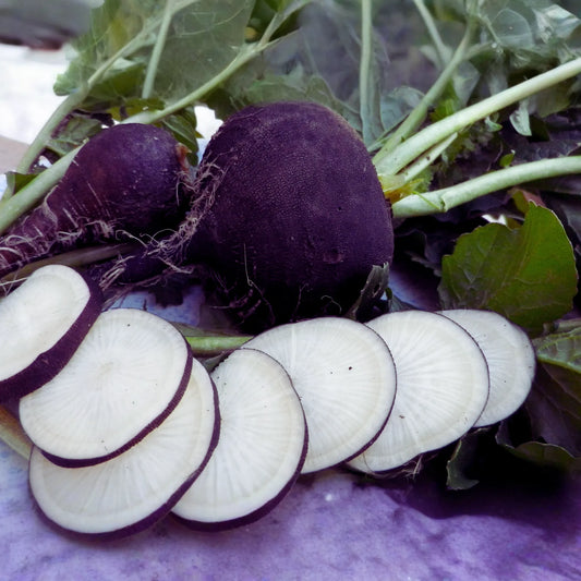 Black Spanish Radish Seeds | 300+ Non-GMO Seeds | Fresh Garden Seeds | Raphanus sativus