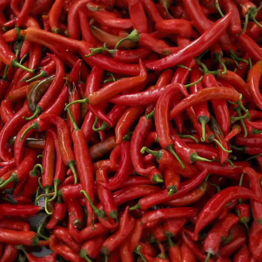 Hot Thai Pepper Seeds | Non-GMO | Fresh Spicy Chili Pepper Variety | Capsicum annuum