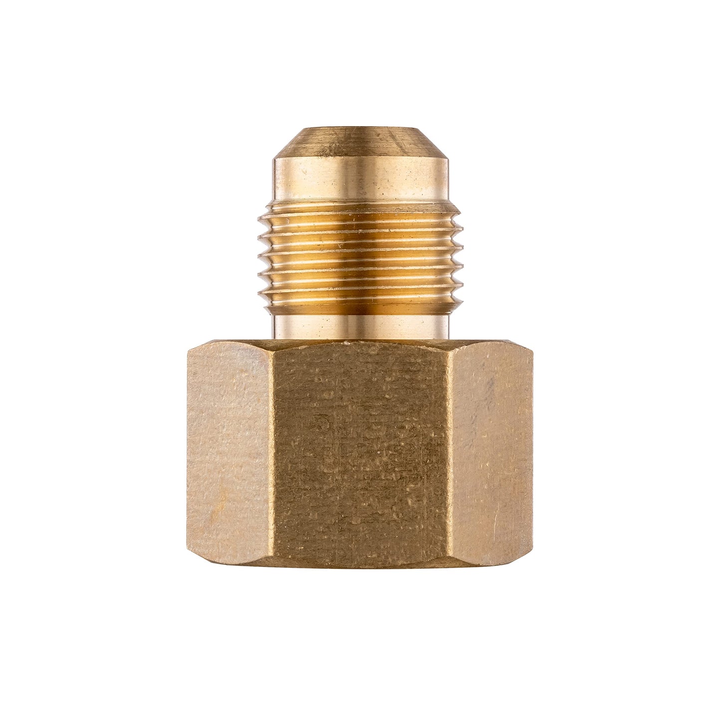 1/2" Flare x 1/2" FNPT Brass Adapter