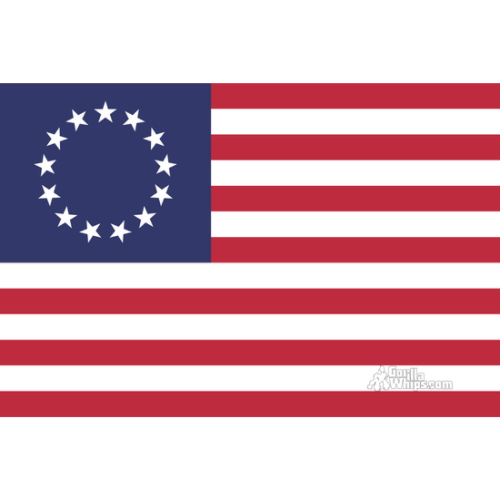 Betsy Ross 2x3 Grommet Whip Flag Double Layer