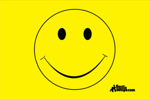 Yellow Smiley Face 2x3 Grommet Whip Flag