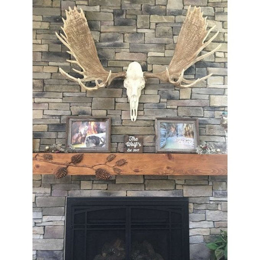 European Moose Mount