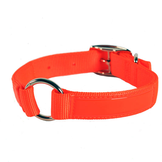 Center Ring Reflexite Hunting Collar 1" x 22"