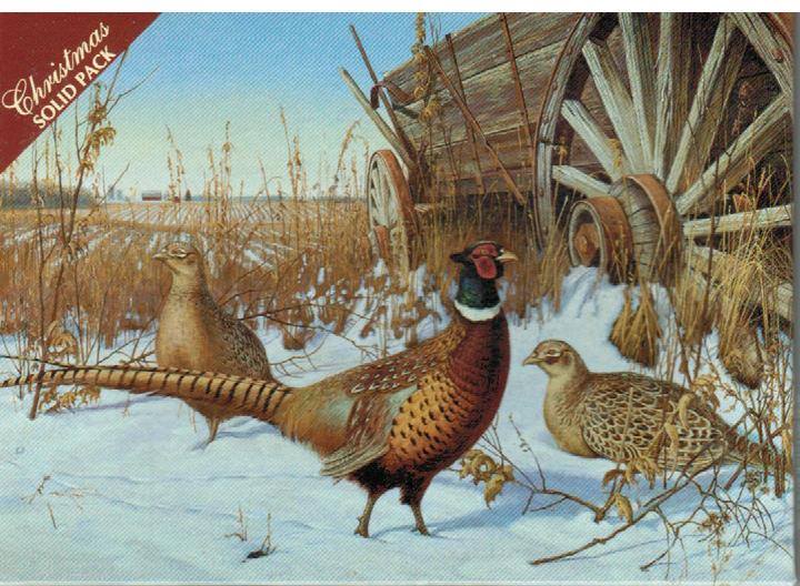 H14074 CHRISTMAS BRUSH WITH THE PAST - KJV