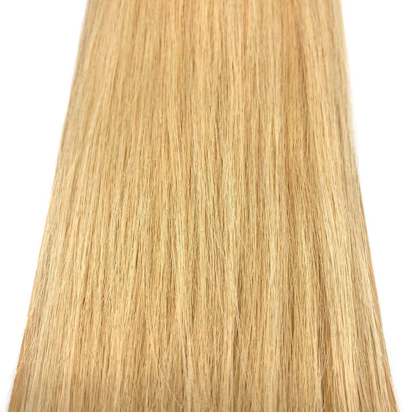 Narcia Remy Siberian - Micro Ring - 24"