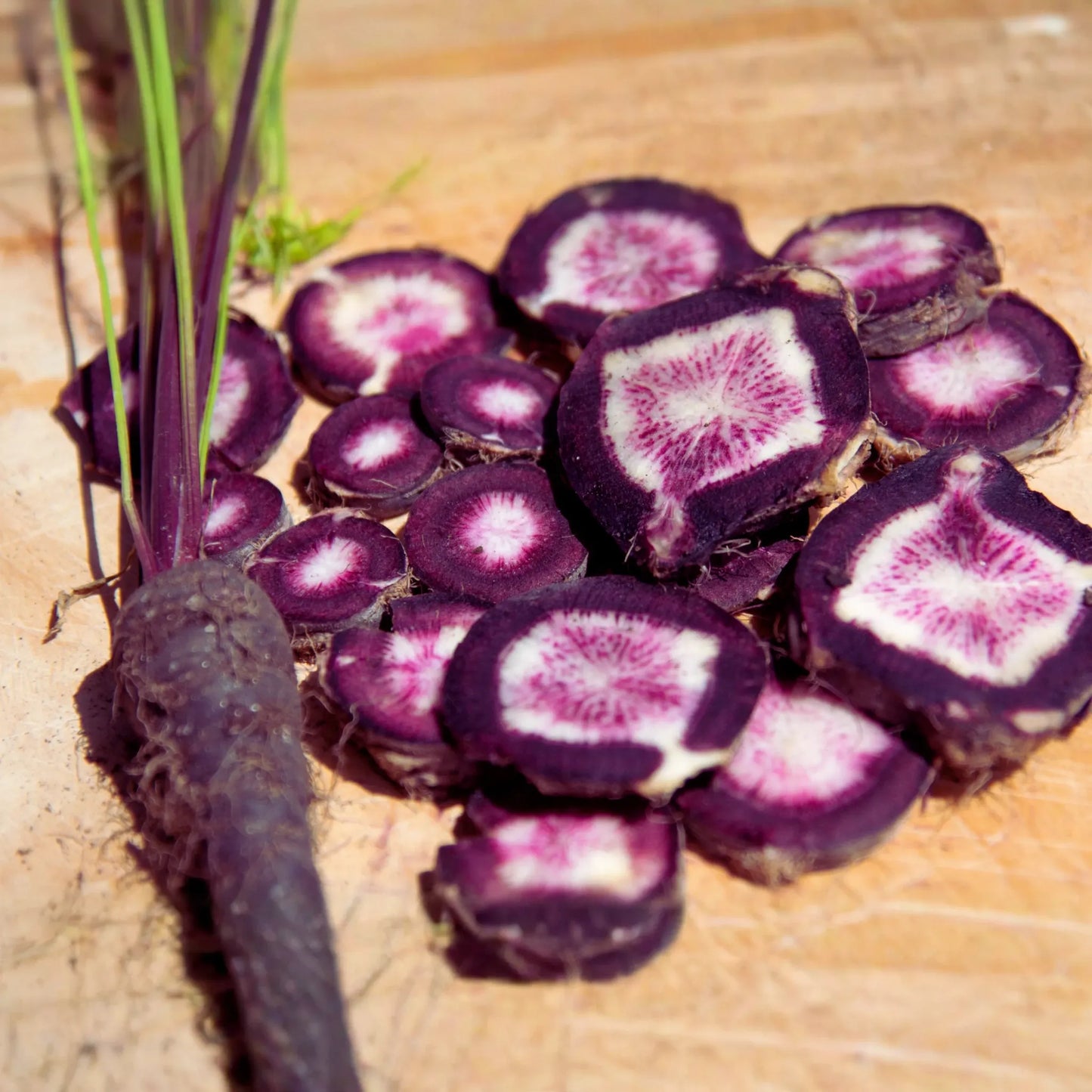 Black Nebula Carrot Seeds | Dark Purple Vegetable Seeds | Daucus carota