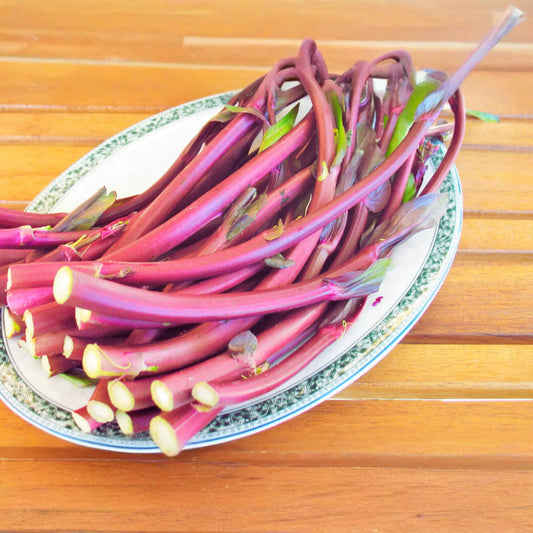 Hon Tsai Tai Seeds | Kosaitai, Purple Choy Sum, Yu Choy Sum | Brassica rapa var. chinensis | Vegetable Gardening